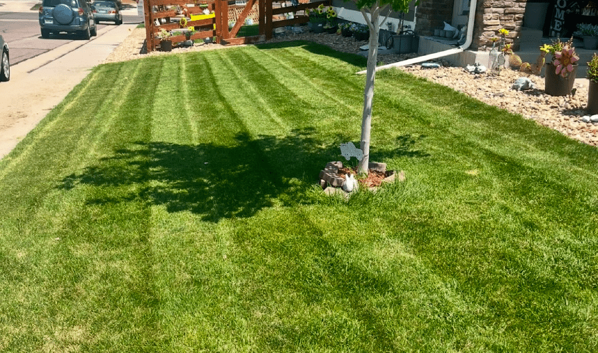 Clean is Green 